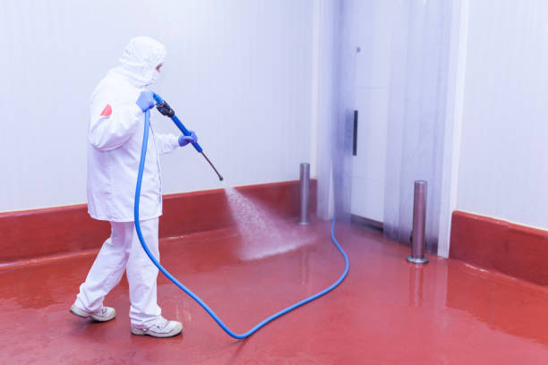 Professional Pressure Washing Services in New York Mills, MN